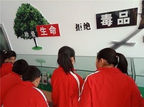 擰緊安全弦，筑牢防護(hù)網(wǎng)——煙臺(tái)龍口學(xué)校開展新時(shí)代文明實(shí)踐活動(dòng)